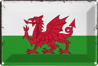 Produktbild von vianmo Blechschild 20x30 cm Wales Flagge Geburtstag Feiern Party Fahne Wappen