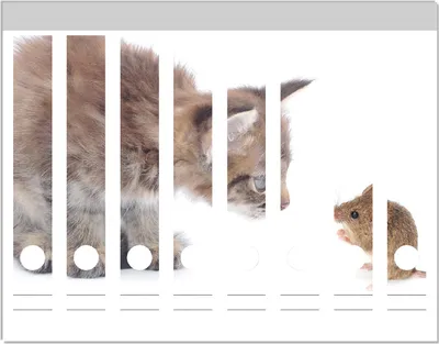 Produktbild von Wallario Ordnerrücken Sticker, selbstklebend für schmale Ordner, 8 Stück, Motiv Katze und Maus beim Spielen - weißer Hintergrund