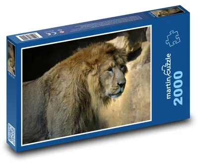 Obrázok produktu pre Puzzle 2000 Lev - Kráľ divočiny - martinpuzzle