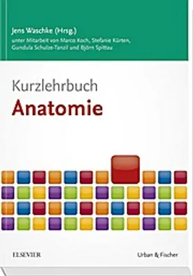 Image de Kurzlehrbuch Anatomie