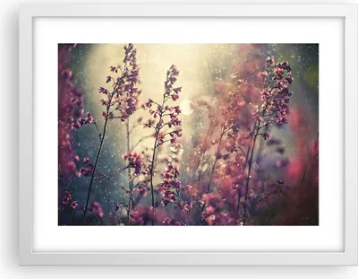 Produktbild von Gerahmtes Poster - Weißer Rahmen - Blumen Regen Licht - 40x30 cm - Wand Bild - Wanddeko - Wandbilder - Kunstposter - Wandposter - Bilderrahmen - Bilder - Kunstdruck - Wandbild - P2WAA40x30-4218
