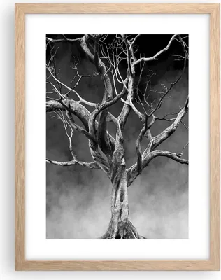 Produktbild von Gerahmtes Poster - Rahmen in heller Eiche - Schwarzweiß Äste Rauch - 30x40 cm - Wand Bild - Wanddeko - Wandbilder - Wandposter - Bilderrahmen - Bilder - Kunstdruck - Wandbild - P2NPA30x40-4346