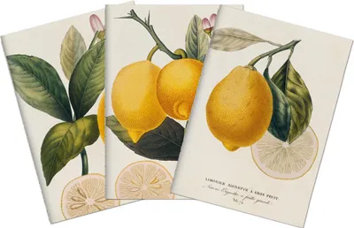 Zdjęcie produktu dla Zestaw trzech notesów Lemons