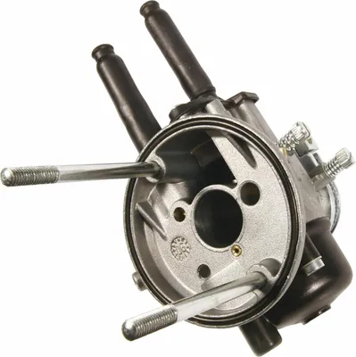 Produktbild von Malossi Vergaser Dellorto SHBC 19.19 kompatibel mit Piaggio APE 50 / Vespa Smallframe