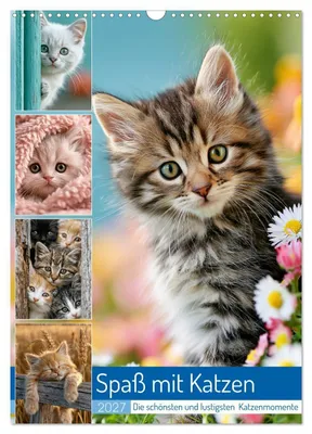 Produktbild von Spaß mit Katzen (Wandkalender 2027 DIN A3 hoch), CALVENDO Monatskalender
