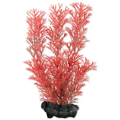 Produktbild von Deko Tetra Pflanze Foxtail Red S 15cm