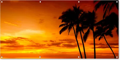 Produktbild von MuchoWow® 160x80 cm Outdoor-Poster Gartendeko Sichtschutz Garten Poster für den Garten  Palme - Sonnenuntergang - Tropisch - Orange - Meer