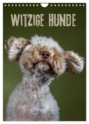 Produktbild von Witzige Hunde (Wandkalender 2027 DIN A4 hoch), CALVENDO Monatskalender