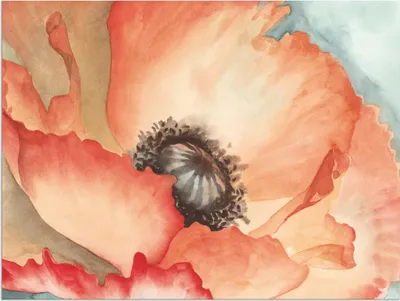 Produktbild von ARTland Wandbild Alu für Innen & Outdoor Wasserfarben Mohn II Größe: 40x30 cm