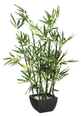 Produktbild von Atmosphera 109591, 1 Stück(e)