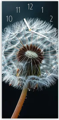 Produktbild von Wanduhr aus Glas mit Motiv Pusteblume im Wind- 30 x 60 cm - inkl. Aufhängesystem