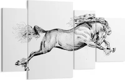Produktbild von Bild auf Leinwand - Leinwandbild - 4 Teile - Pferd Zeichnung Bleistift - 120x70cm - Wand Bild - Wanddeko - Wandbilder - Leinwanddruck - Bilder - Wanddekoration - Leinwand bilder - DL120x70-4906