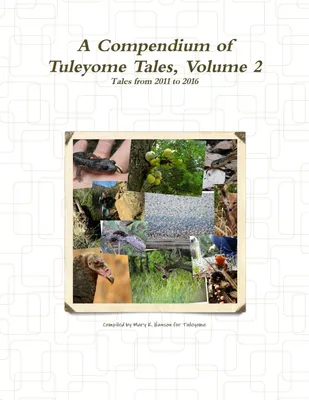 Produktbild von A Compendium of Tuleyome Tales, Volume 2