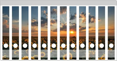 Produktbild von Wallario Ordnerrücken Sticker, selbstklebend für schmale Ordner, 12 Stück, Motiv Sonnenblumenwiese vor Wolken mit Sonnenuntergang