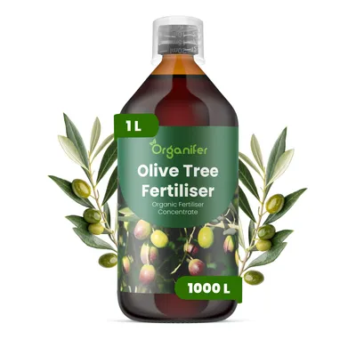Obrázek produktu pro Olivovník Tekuté Hnojivo 1 L – 2-1-8 NPK – Pro Olivovníky – Podporuje Bujné Lístie, Stabilné Vetvy & Tvorbu Plodov – Organifer