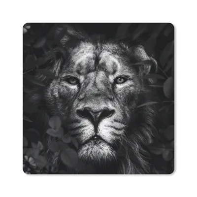 Produktbild von MuchoWow® Mauspad Mousepad Löwe - Tiere - Dschungel - Schwarz - Weiß 30x30 cm - Mousepads - Maus Mat - Pad - Mausunterlage - Gaming