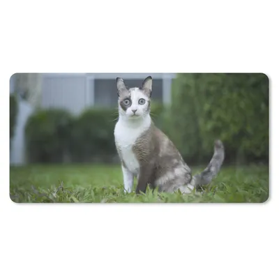 Produktbild von MuchoWow® Mauspad Mousepad Katze - Siamese - Gras - Mädchen - Kinder - Jungen - Kind 60x30 cm - Mousepads - Maus Mat - Pad - Mausunterlage - Nachhaltig