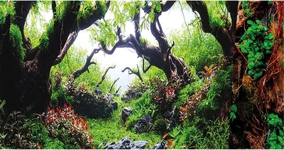 Immagine prodotto di Parete posteriore per acquari Green Dream / Wooden Sky - 100 x 50 cm