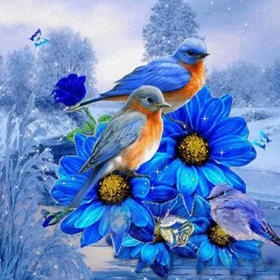 Produktbild von Malen nach Zahlen 5d Diamond Painting Vogel Blumen Malen nach Zahlen 20x20cm