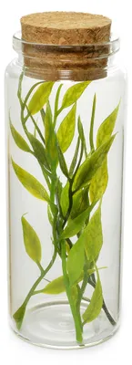 Glasflasche mit Korken, 150 ml, rund, transparent, 1 Stück