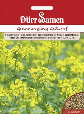 Produktbild von Dürr-Samen - Gelbsenf (250 g für 50 m2) - Saatgut - 4334