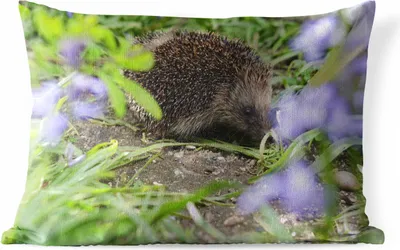 Produktbild von MuchoWow® Outdoor Kissen - Igel hinter Blumen - 60x40 cm - Wetterfest - Lounge Kissen - Zierkissen - Kissen für Innenräume