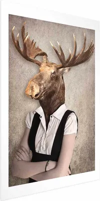 Produktbild von Posterpapier Poster - Smart Moose 40x60 cm Tiere g-B-0127-ao-a
