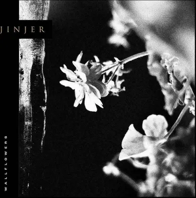 Immagine prodotto di Jinjer - Wallflowers (Edizione limitata) (LP)