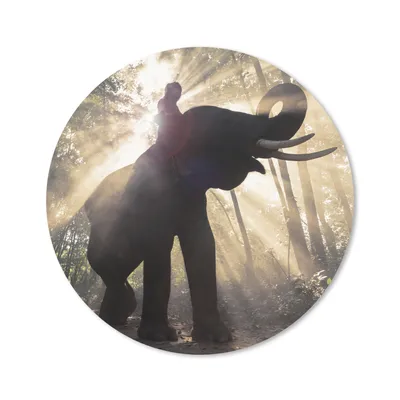 Produktbild von MuchoWow® Mauspad Mousepad Elefant mit Person in hellem Sonnenlicht 30x30 cm - Mousepads - Maus Mat - Pad - Mausunterlage - Tischunterlage - Schreibtischmatten