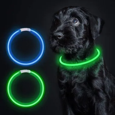 Produktbild von Hundeleuchte – Hundeleinenleuchte – Hundenausgangsleuchte – Leuchte für Hundeausgänge