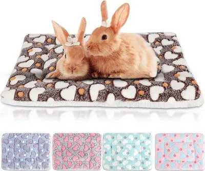 Productafbeelding van Famanu fleece deken voor kleine huisdieren - met hartmotief, 51 x 43 cm