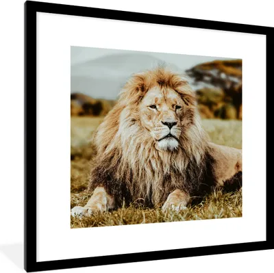 Produktbild von MuchoWow® MuchoWow® Gerahmtes Poster Tiere - Wild - Braun 40x40 cm - Poster mit zchwarzem Bilderrahmen - Poster - Plakat im Rahmen