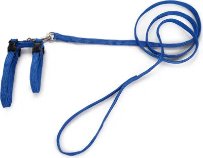 Produktbild von Beeztees - Katzengeschirr - Nylon - blau - 130 cm x 10 mm