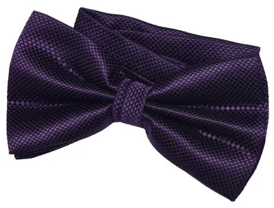 Produktbild von DonDon Herren Fliege 12 x 6 cm gebunden mit Hakenverschluss und größenverstellbar für besondere Anlässe aubergine