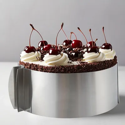 Image de Moules à gâteau réglables, hauteur de 8 cm, avec poignée et échelle graduée