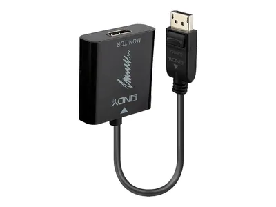 Obrázok produktu pre Lindy Video- / Audio-Adapter - DisplayPort (M)