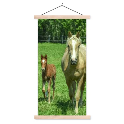 Produktbild von MuchoWow® Textilposter Pferd - Fohlen - Tiere 60x120 cm mit holzfarbenen Rahmen - Holz