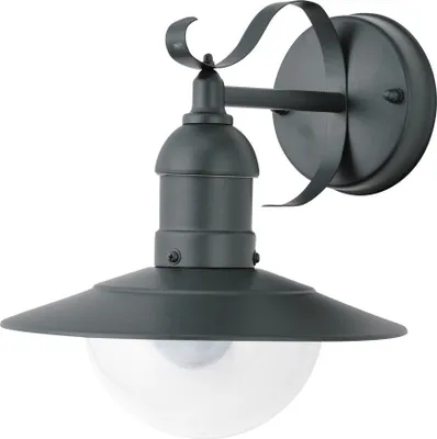 A dark-colored outdoor wall light with a wide brimmed shade and a clear glass globe.