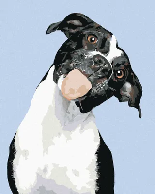 Produktbild von Zuty - Malen nach Zahlen - SCHWARZWEIßER HUND MIT HERAUSGESTRECKTER ZUNGE, 40x50 cm, ohne Keilrahmen