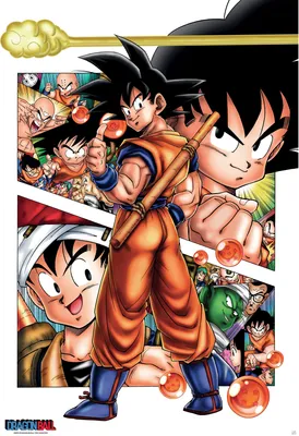 Image de Dragon Ball - Poster - L'histoire de Son Goku