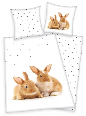 Produktbild von Herding Bettwäsche mit Kaninchen 135 x 200cm 100%Baumwolle