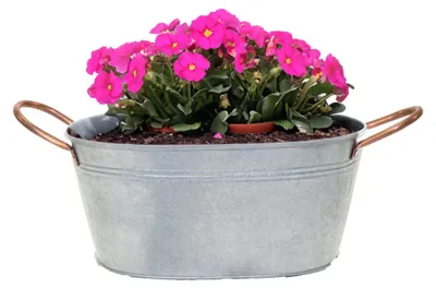 Produktbild von Mega Collections Teil/Pflanzgefas Jean - oval - Zink - silber - 24 x D15 X 11 cm