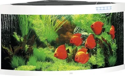 Produktbild von Aquarium JUWEL Trigon 350 mit LED-Beleuchtung, Filter, Heizer ohne Unterschrank weiß ca. 123 x 87 x 65 cm ca. 350 L Ecka