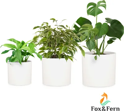 Image de Fox & Fern Pot de Fleur Interieur et Extérieur, Jardinieres Exterieur, Pot Plante Résistant UV et Gel avec Bouchon de Drainage, Fiberstone, Jardiniere, Pot de Fleur Exterieur Grande Taille, Lot de 3