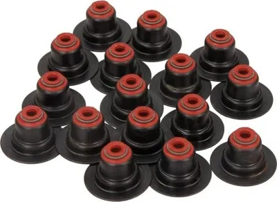 Image de Jeu de joints, tige de soupape REINZ 12-34406-01
