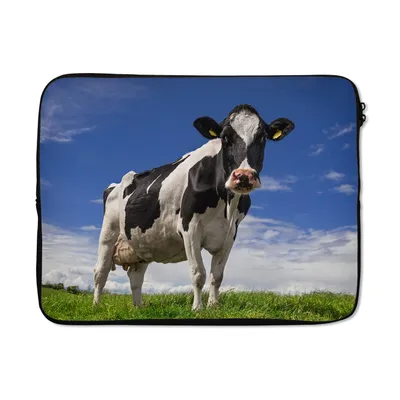 Produktbild von MuchoWow® Laptop Hülle 17 Zoll Laptoptasche Kuh - Gras - Blau - Tiere - Zipper - Schutzabdeckung
