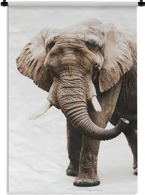 Produktbild von MuchoWow® Wandteppich Wandbehang Elefant - Weiß - Tiere 90x135 cm Tapisserie Dekoration Wandtuch - Baumwolle - Wandskulptur