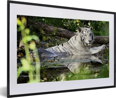 Produktbild von MuchoWow® MuchoWow® Gerahmtes Poster Weißer Tiger im Wasser 60x40 cm - Poster mit zchwarzem Bilderrahmen - Schlafzimmer - Plakat in Rahmen - Drucken