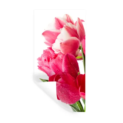 Produktbild von MuchoWow® Wandtattoo Wandsticker Wandaufkleber Rosa Tulpen 40x80 cm Selbstklebend und Repositionierbar - Repositionierbar - Wasser abweisend