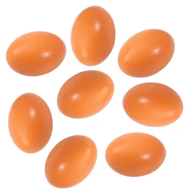 Imagen del producto de Huevos artificiales de madera y plástico, paquete de 8 unidades, para gallinas ponedoras. Accesorios para aves de corral